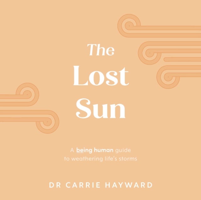 The Lost Sun: A Being Human Guide To Weathering Life'S Storms