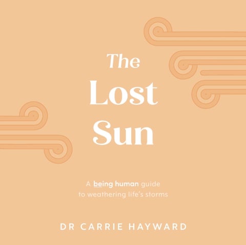 The Lost Sun: A Being Human Guide To Weathering Life'S Storms - A Being Human guide to weathering life's storms
