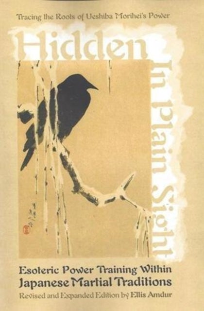 Hidden in Plain Sight - Esoteric Power Training within Japanese Martial Traditions (Revised and Expanded Edition)