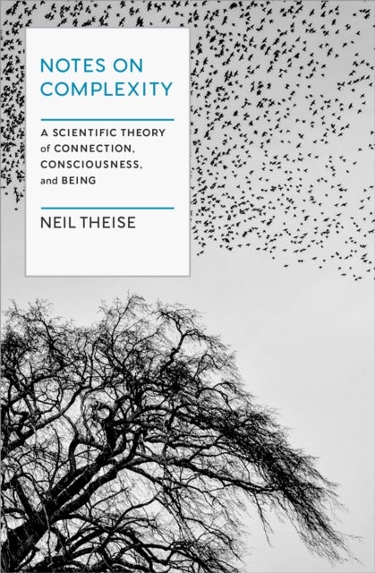 Notes on Complexity - Life, Consciousness, and Meaning in a Self-Organizing Universe