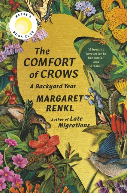 The Comfort of Crows - A Backyard Year