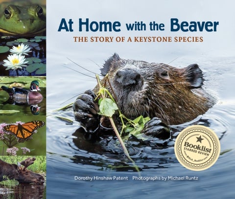 At Home with the Beaver - A Story of a Keystone Species