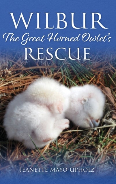 Wilbur - The Great Horned Owlet's Rescue