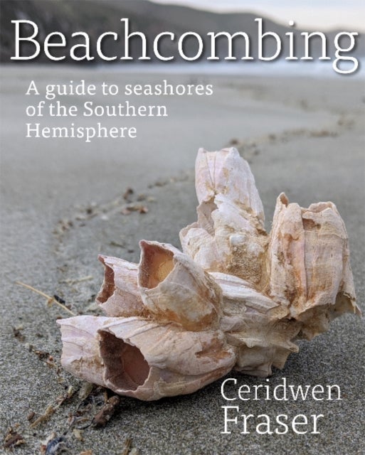 Beachcombing - A guide to seashores of the Southern Hemisphere