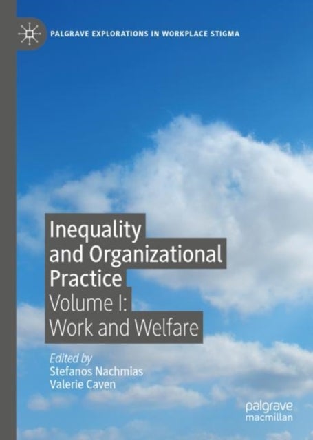 Inequality and Organizational Practice - Volume I: Work and Welfare