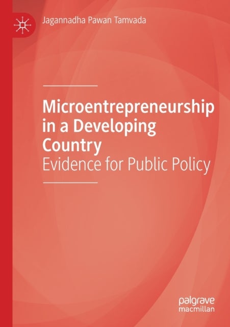 Microentrepreneurship in a Developing Country - Evidence for Public Policy