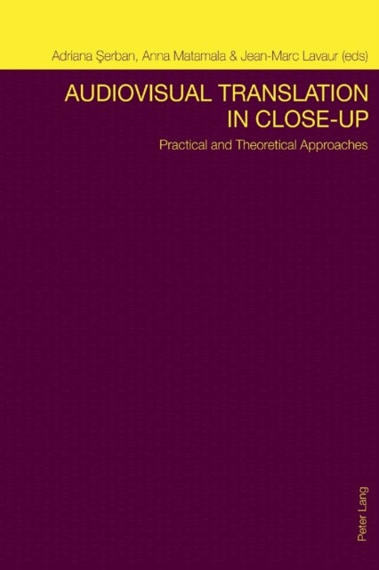 Audiovisual Translation in Close-Up - Practical and Theoretical Approaches