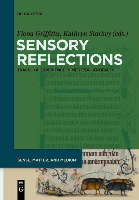 Sensory Reflections - Traces of Experience in Medieval Artifacts