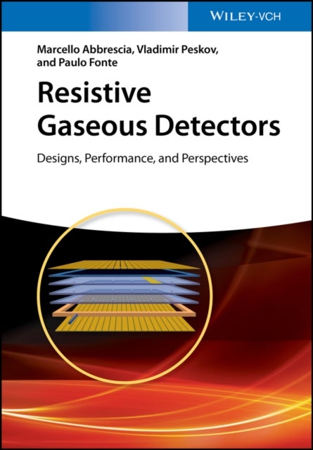 Resistive Gaseous Detectors – Designs, Performance, and Perspectives - Designs, Performance, and Perspectives