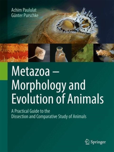 Metazoa - Morphologie Und Evolution Der Vielzelligen Tiere