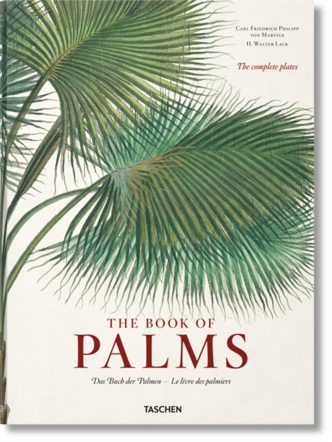 Martius - The Book of Palms
