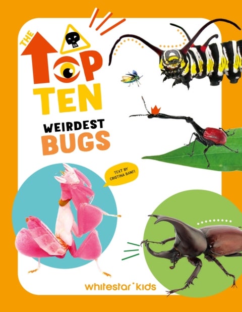 Top Ten: Weirdest Bugs