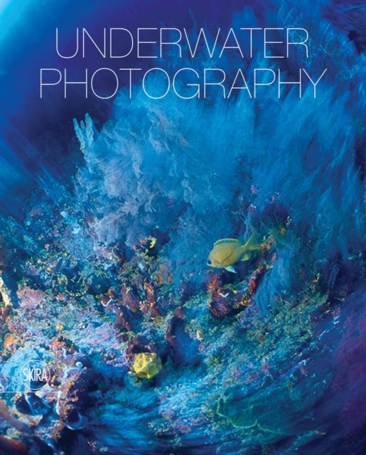 Underwater photography - by Vincenzo Paolillo