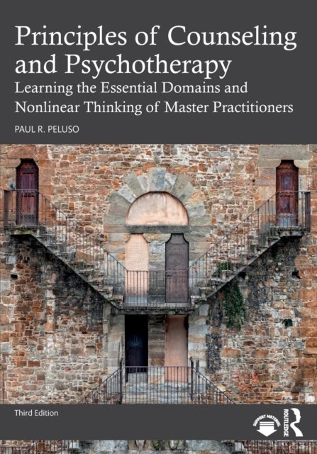 Principles of Counseling and Psychotherapy - Learning the Essential Domains and Nonlinear Thinking of Master Practitioners