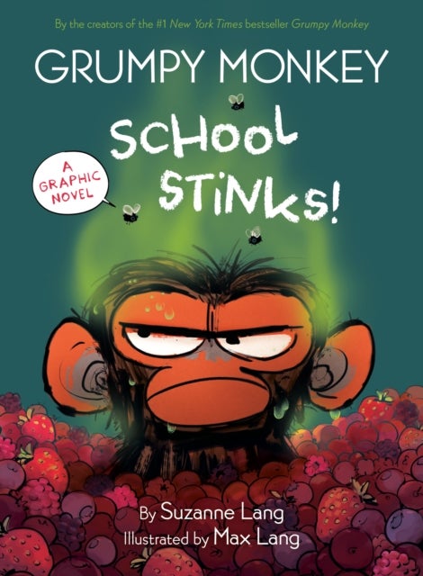 Grumpy Monkey School Stinks! - A Graphic Novel