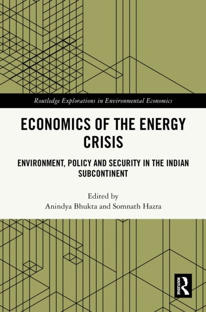 Economics of the Energy Crisis - Environment, Policy and Security in the Indian Subcontinent
