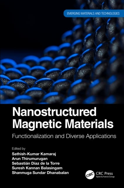 Nanostructured Magnetic Materials - Functionalization and Diverse Applications