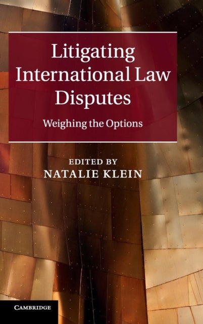 Litigating International Law Disputes - Weighing the Options