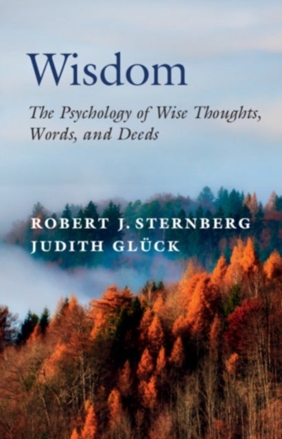 Wisdom - The Psychology of Wise Thoughts, Words, and Deeds