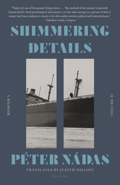 Shimmering Details, Volume II - A Memoir