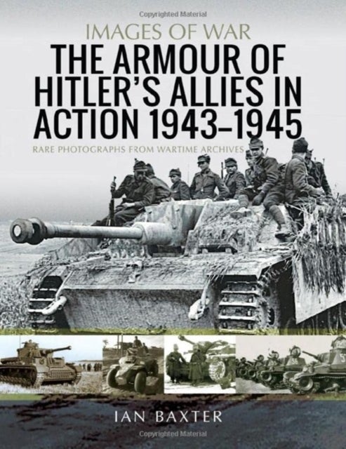 The Armour of Hitler's Allies in Action, 1943-1945 - Rare Photographs from Wartime Archives