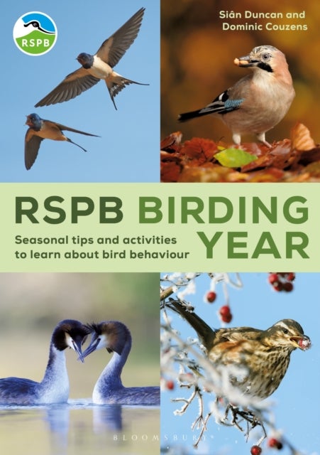 RSPB Birding Year - Seasonal tips and activities to learn about bird behaviour
