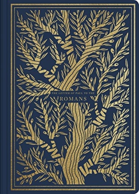 ESV Illuminated Scripture Journal - Romans (Paperback)