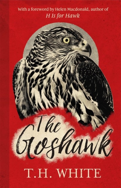 Goshawk - With a foreword by Helen Macdonald