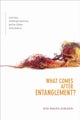 What Comes after Entanglement?