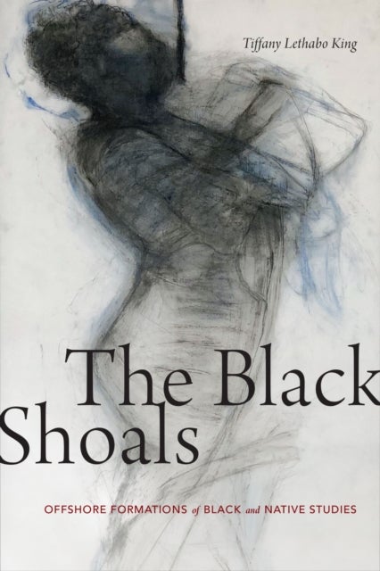 The Black Shoals - Offshore Formations of Black and Native Studies