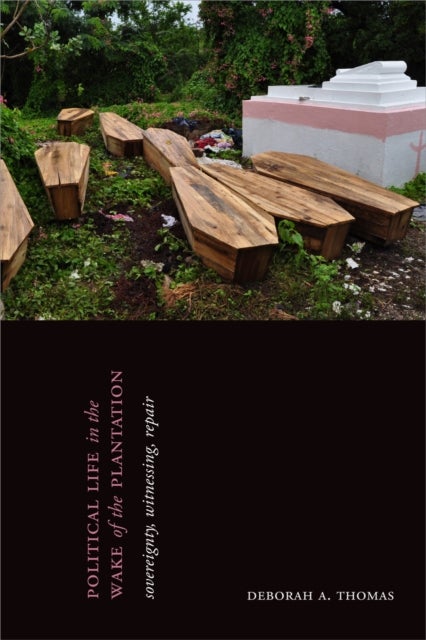 Political Life in the Wake of the Plantation - Sovereignty, Witnessing, Repair