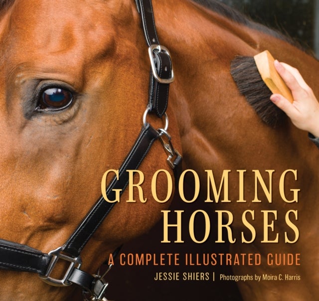 Grooming Horses - A Complete Illustrated Guide