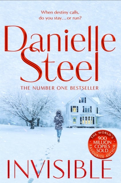 Invisible - A compelling story of ambition and pursuing a dream from the billion copy bestseller