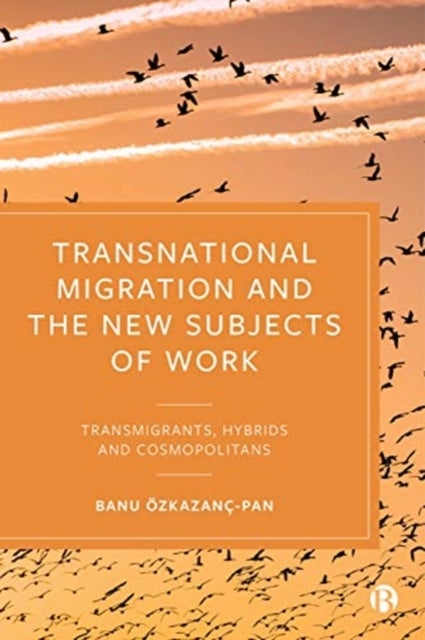 Transnational Migration and the New Subjects of Work – Transmigrants, Hybrids and Cosmopolitans - Transmigrants, Hybrids and Cosmopolitans