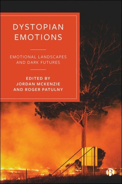 Dystopian Emotions – Emotional Landscapes and Dark  Futures - Emotional Landscapes and Dark Futures