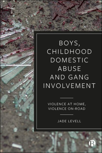 Boys, Childhood Domestic Abuse and Gang Involvemen t – Violence at Home, Violence On–Road - Violence at Home, Violence On-Road