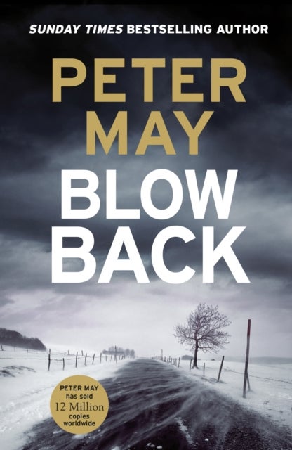 Blowback - The exciting penultimate case in the addictive crime series (The Enzo Files Book 5)