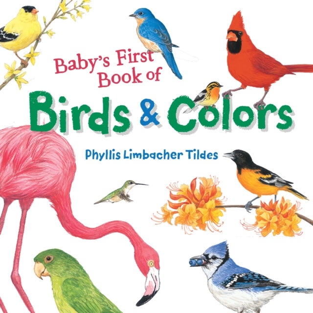 Baby''s First Book of Birds & Colors