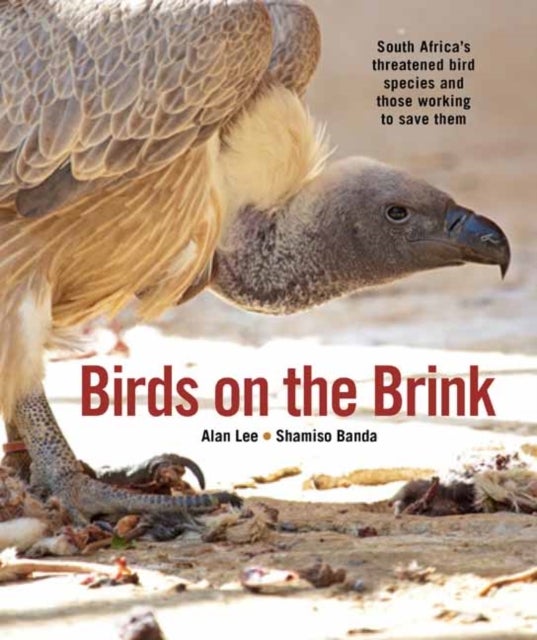 Birds on the Brink - South Africa’s threatened birds and those working to save them