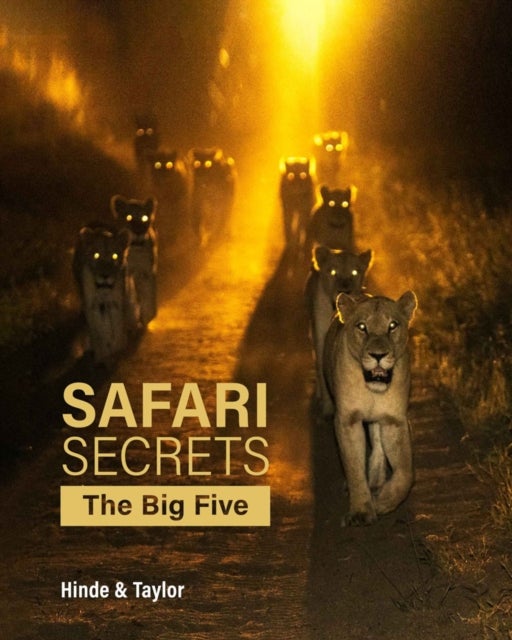Safari Secrets - The Big Five