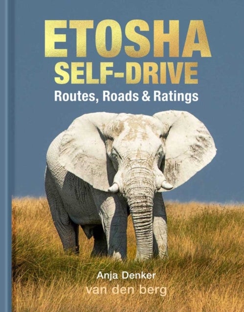 Etosha Self-Drive - Routes, Roads and Ratings
