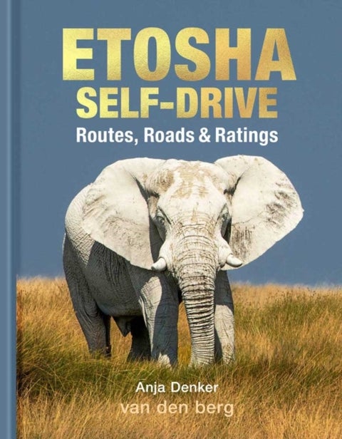 Etosha Self-Drive - Routes, Roads and Ratings
