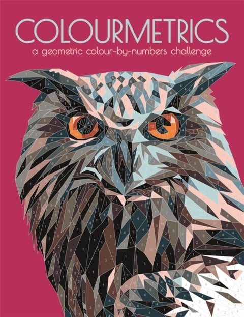 Colourmetrics - A Geometric Colour by Numbers Challenge