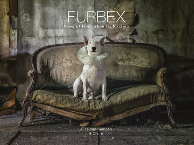 Furbex - A Dog’s Life of Urban Exploration
