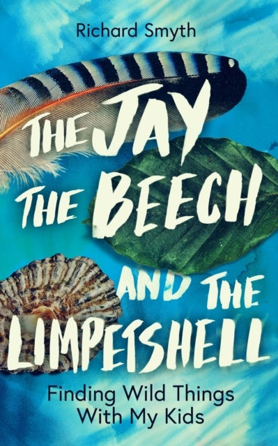 Jay, The Beech and the Limpetshell - Finding Wild Things With My Kids
