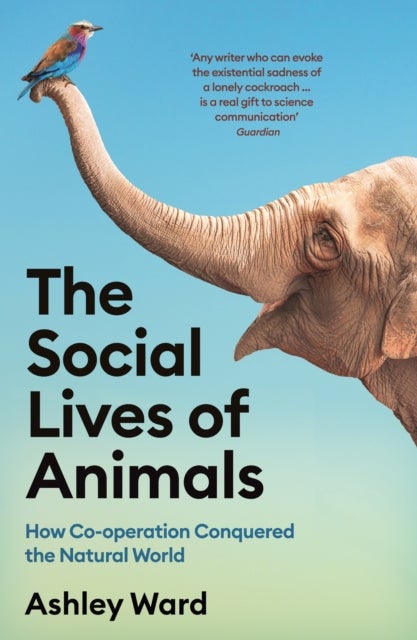 The Social Lives of Animals - How Co-operation Conquered the Natural World