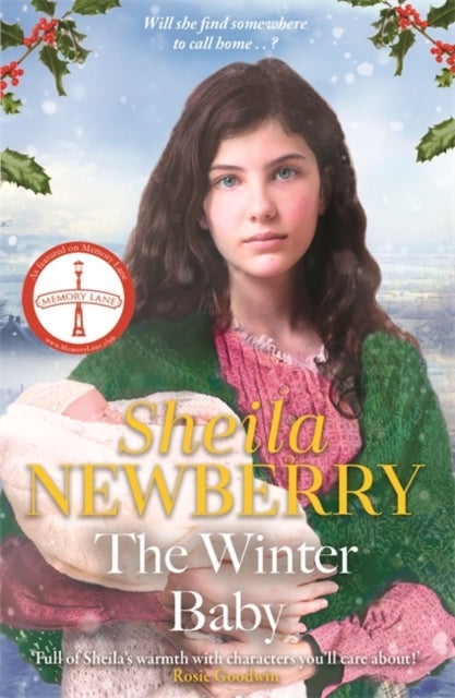 The Winter Baby - A perfect, heartwarming winter story from the Queen of Family Saga