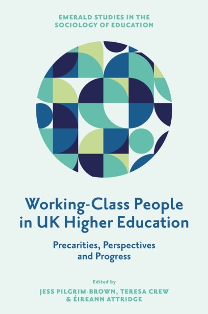 Working-Class People in UK Higher Education - Precarities, Perspectives and Progress
