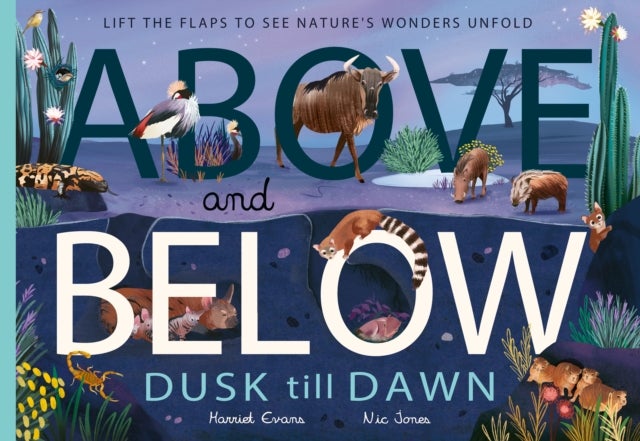 Above and Below: Dusk till Dawn - Lift the flaps to see nature's wonders unfold