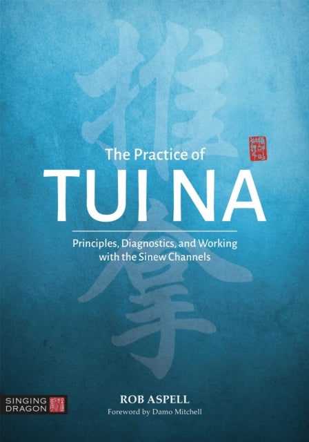 Practice of Tui Na - Principles, Diagnostics and Working with the Sinew Channels